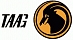 TAAG Angola Airlines logo