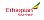Ethiopian Airlines logo